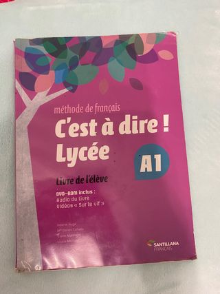 Libro 1º Bachillerato France Santillana