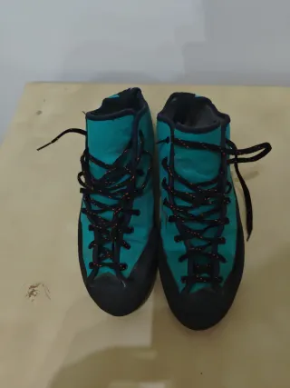 Pies de gato para principiantes