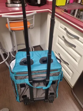 Nevera carrito Cool Outdoor