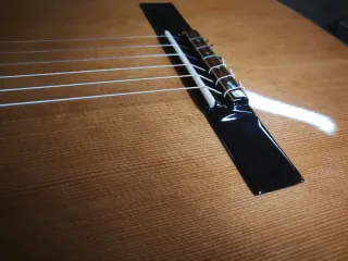 Guitarra Juan Montes Concierto