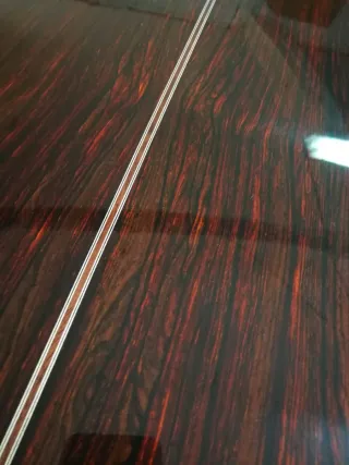 Guitarra Juan Montes Concierto