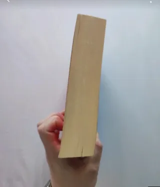 Rachel se va de viaje SOLO ENVIO