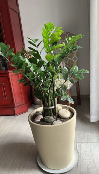 Macetero Cerámico Grande Beige