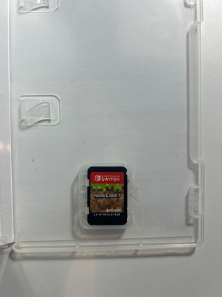Minecraft Nintendo Switch