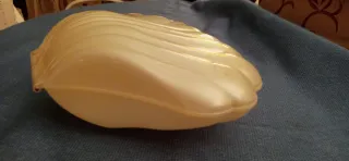 Caja joyero con forma de concha blanca