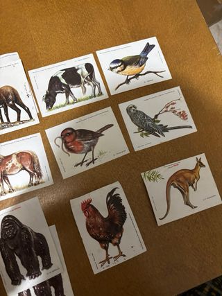 Lote 15 cromos relieve vintage animales