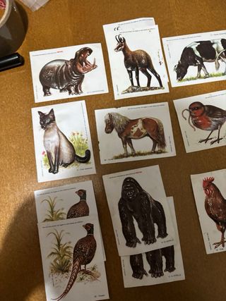 Lote 15 cromos relieve vintage animales