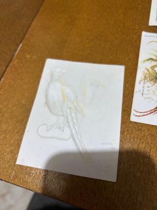 Lote 15 cromos relieve vintage animales