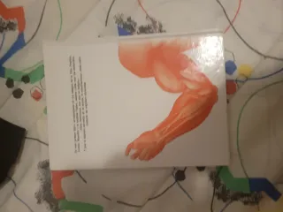 "Lote libros infantiles y Manga My Hero Academia".