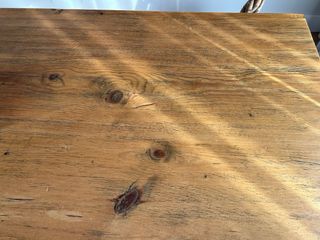 Mesa Comedor Madera y patas de forja cuadradas.