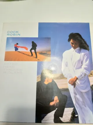 Lote 3 Vinilos Pop Internacional