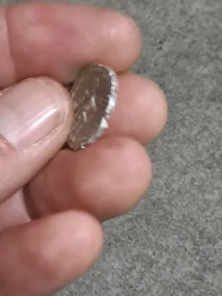 Denario Romano Plata