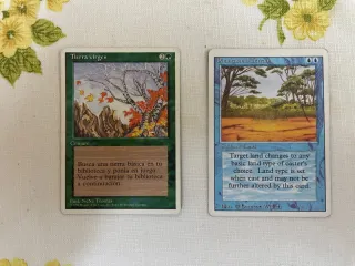 Lote Cartas Magic The Gathering