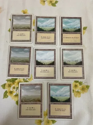 Lote Cartas Magic The Gathering