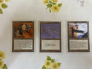 Lote Cartas Magic The Gathering