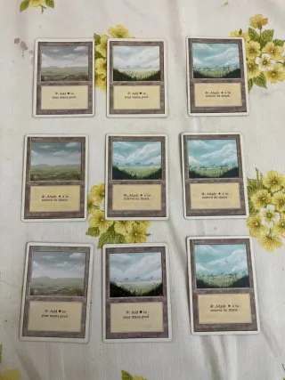 Lote Cartas Magic The Gathering