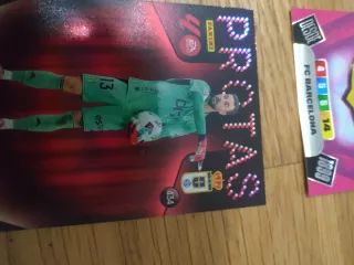 Cromos Adrenalyn XL 25/26