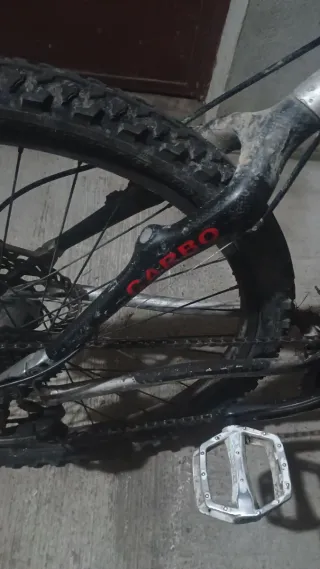 Bici Grigia Freno Shimano