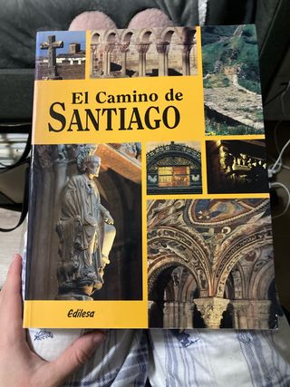 El camino de Santiago