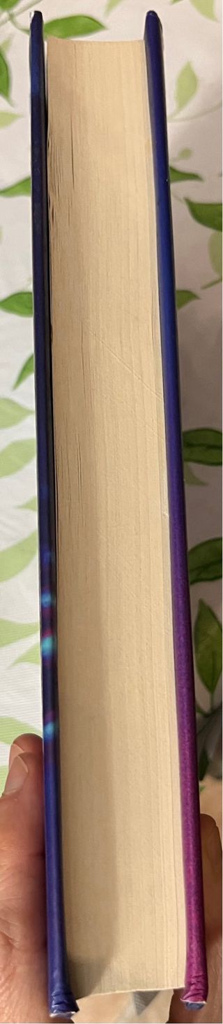 A Love Song for Ricki Wilde