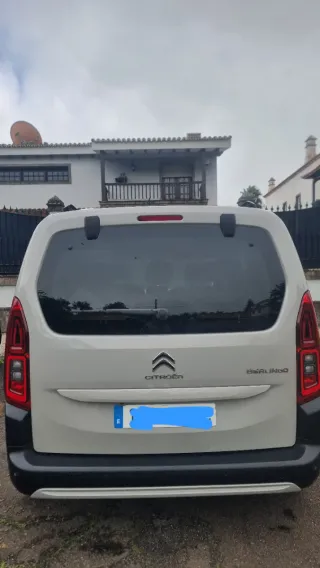berlingo k9 2019 bluehdi 100 XTR