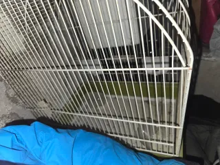 Jaula para pájaros completa con accesorios