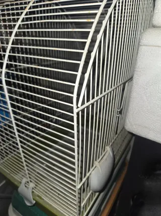 Jaula para pájaros completa con accesorios