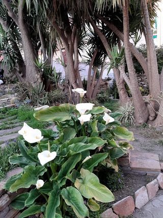 Habitación Bcn Horta ,casa con jardín cerca Metro