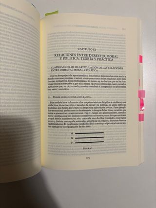 Teoría del Derecho: Una concepción de la experi...