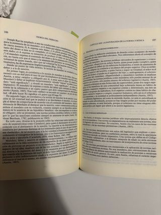 Teoría del Derecho: Una concepción de la experi...