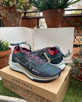 Nike Pegasus Trail 4 GTX 43