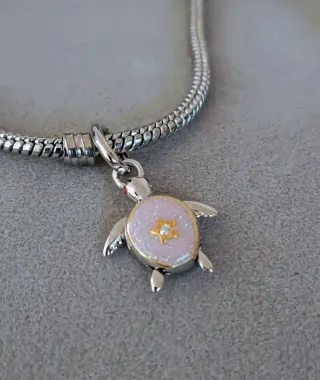Charm tortuga viajera