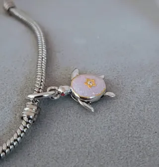 Charm tortuga viajera