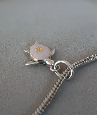 Charm tortuga viajera