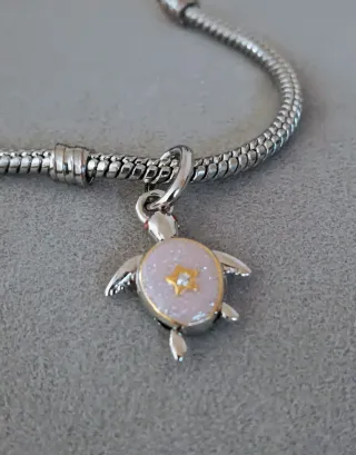 Charm tortuga viajera