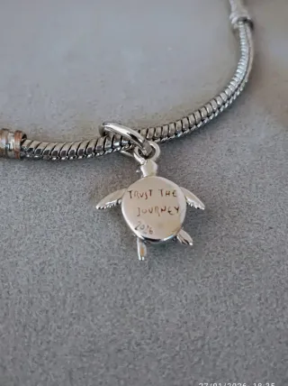 Charm tortuga viajera