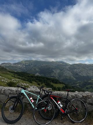 Orbea Alma M50 Carbono