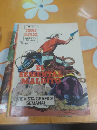 Novelas de oeste antiguo