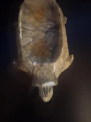 Tortuga de ónix decorativa