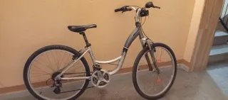 Bicicleta urbana plateada