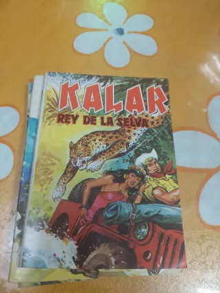 Novelas de oeste antiguo