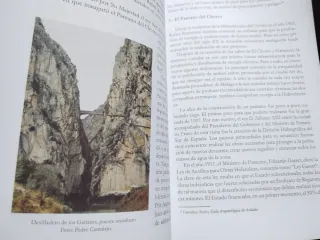 Historia de la electricidad en Málaga