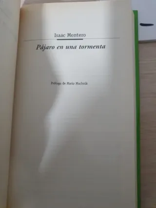 Pájaro en una tormenta. Isaac Montero