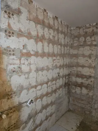 Trabajo de construcción. En general. Paleta Con ex