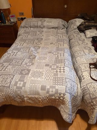 2 Camas Eléctricas Articuladas