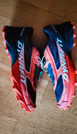 Zapatillas Dynafit Feline Up Pro