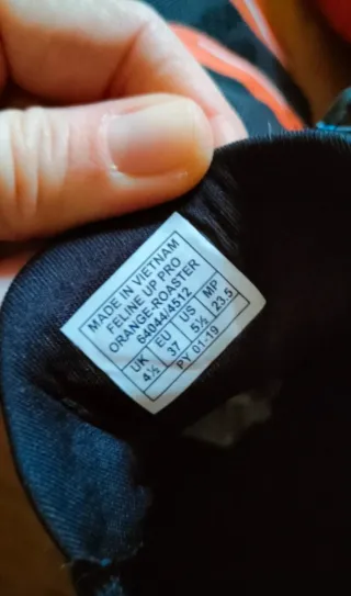 Zapatillas Dynafit Feline Up Pro