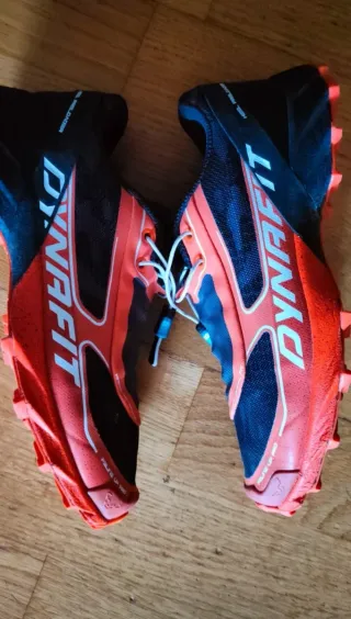 Zapatillas Dynafit Feline Up Pro