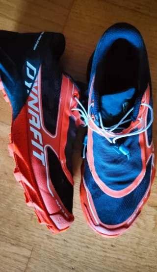 Zapatillas Dynafit Feline Up Pro