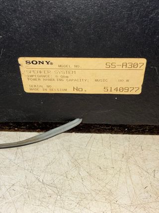 Altavoces Sony SS-A307